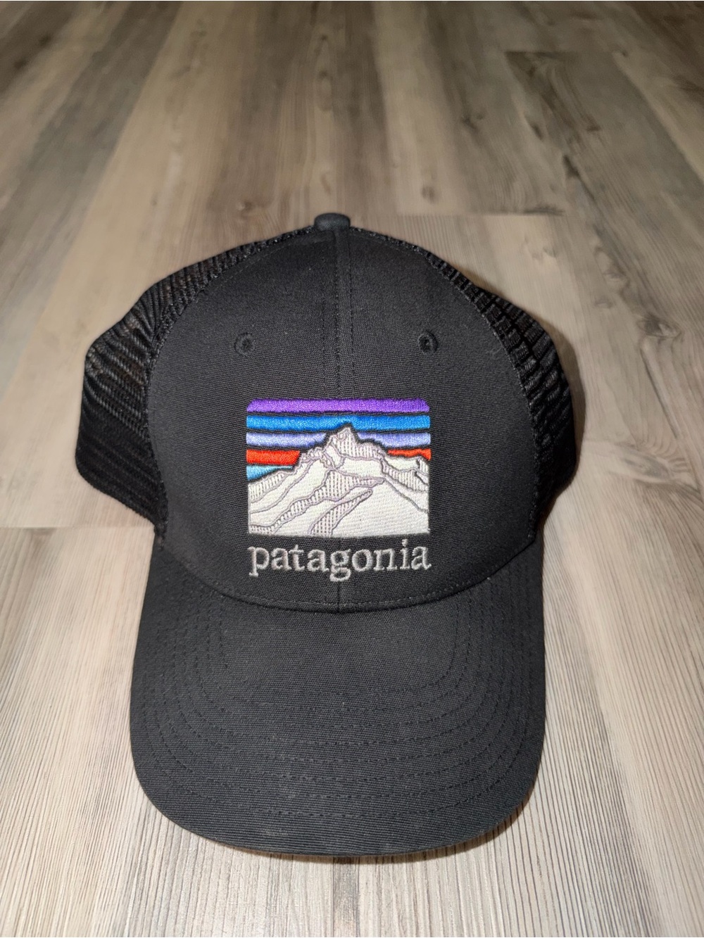 Patagonia Black Trucker Hat with Multicolor Mountain Patch